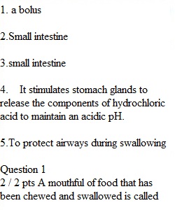 Chapter 3 Quiz